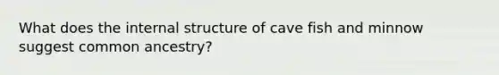 What does the internal structure of cave fish and minnow suggest common ancestry?