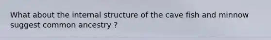 What about the internal structure of the cave fish and minnow suggest common ancestry ?