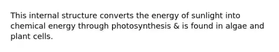 This internal structure converts the energy of sunlight into chemical energy through photosynthesis & is found in algae and plant cells.