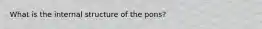 What is the internal structure of the pons?