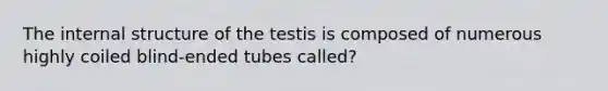 The internal structure of the testis is composed of numerous highly coiled blind-ended tubes called?