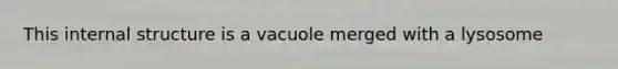 This internal structure is a vacuole merged with a lysosome