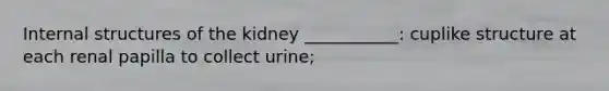 Internal structures of the kidney ___________: cuplike structure at each renal papilla to collect urine;