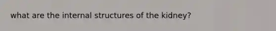 what are the internal structures of the kidney?