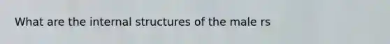 What are the internal structures of the male rs