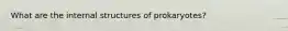 What are the internal structures of prokaryotes?