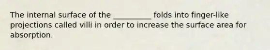 The internal surface of the __________ folds into finger-like projections called villi in order to increase the surface area for absorption.