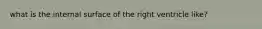 what is the internal surface of the right ventricle like?