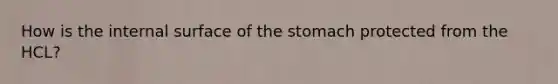 How is the internal surface of the stomach protected from the HCL?