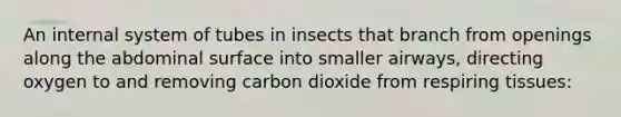 An internal system of tubes in insects that branch from openings along the abdominal surface into smaller airways, directing oxygen to and removing carbon dioxide from respiring tissues: