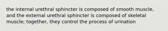 the internal urethral sphincter is composed of smooth muscle, and the external urethral sphincter is composed of skeletal muscle; together, they control the process of urination