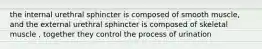 the internal urethral sphincter is composed of smooth muscle, and the external urethral sphincter is composed of skeletal muscle , together they control the process of urination