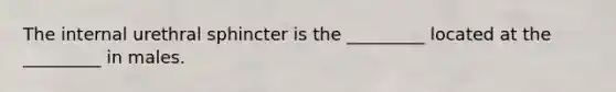 The internal urethral sphincter is the _________ located at the _________ in males.