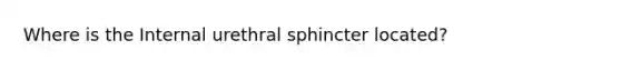 Where is the Internal urethral sphincter located?