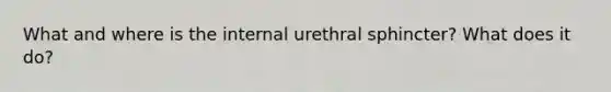 What and where is the internal urethral sphincter? What does it do?