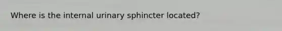 Where is the internal urinary sphincter located?