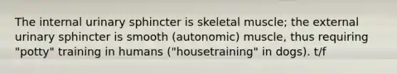 The internal urinary sphincter is skeletal muscle; the external urinary sphincter is smooth (autonomic) muscle, thus requiring "potty" training in humans ("housetraining" in dogs). t/f