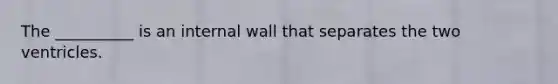 The __________ is an internal wall that separates the two ventricles.