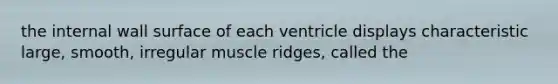 the internal wall surface of each ventricle displays characteristic large, smooth, irregular muscle ridges, called the