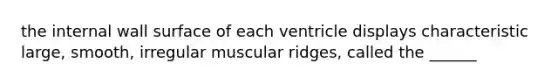 the internal wall surface of each ventricle displays characteristic large, smooth, irregular muscular ridges, called the ______