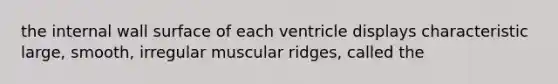 the internal wall surface of each ventricle displays characteristic large, smooth, irregular muscular ridges, called the