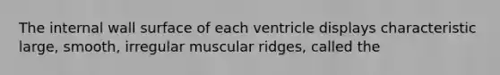 The internal wall surface of each ventricle displays characteristic large, smooth, irregular muscular ridges, called the