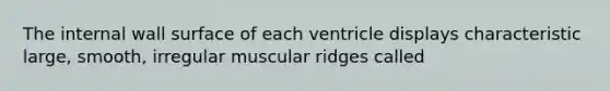 The internal wall surface of each ventricle displays characteristic large, smooth, irregular muscular ridges called