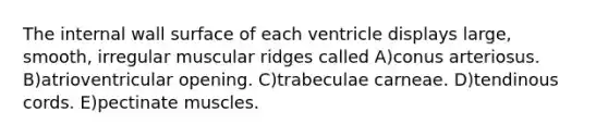 The internal wall surface of each ventricle displays large, smooth, irregular muscular ridges called A)conus arteriosus. B)atrioventricular opening. C)trabeculae carneae. D)tendinous cords. E)pectinate muscles.