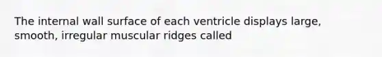 The internal wall surface of each ventricle displays large, smooth, irregular muscular ridges called