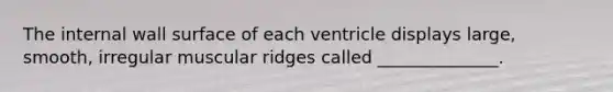 The internal wall surface of each ventricle displays large, smooth, irregular muscular ridges called ______________.