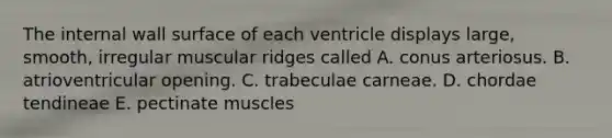 The internal wall surface of each ventricle displays large, smooth, irregular muscular ridges called A. conus arteriosus. B. atrioventricular opening. C. trabeculae carneae. D. chordae tendineae E. pectinate muscles