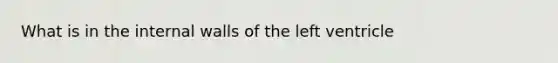 What is in the internal walls of the left ventricle