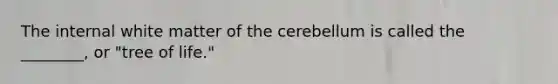 The internal white matter of the cerebellum is called the ________, or "tree of life."