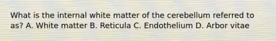 What is the internal white matter of the cerebellum referred to as? A. White matter B. Reticula C. Endothelium D. Arbor vitae