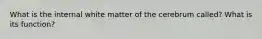 What is the internal white matter of the cerebrum called? What is its function?