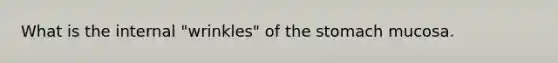 What is the internal "wrinkles" of the stomach mucosa.