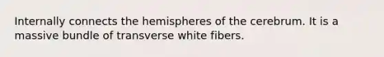 Internally connects the hemispheres of the cerebrum. It is a massive bundle of transverse white fibers.