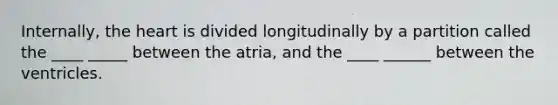 Internally, <a href='https://www.questionai.com/knowledge/kya8ocqc6o-the-heart' class='anchor-knowledge'>the heart</a> is divided longitudinally by a partition called the ____ _____ between the atria, and the ____ ______ between the ventricles.