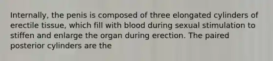 Internally, the penis is composed of three elongated cylinders of erectile tissue, which fill with blood during sexual stimulation to stiffen and enlarge the organ during erection. The paired posterior cylinders are the