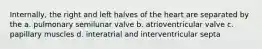 Internally, the right and left halves of the heart are separated by the a. pulmonary semilunar valve b. atrioventricular valve c. papillary muscles d. interatrial and interventricular septa