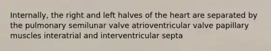 Internally, the right and left halves of the heart are separated by the pulmonary semilunar valve atrioventricular valve papillary muscles interatrial and interventricular septa