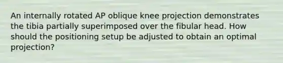 An internally rotated AP oblique knee projection demonstrates the tibia partially superimposed over the fibular head. How should the positioning setup be adjusted to obtain an optimal projection?