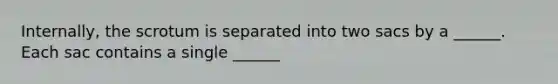 Internally, the scrotum is separated into two sacs by a ______. Each sac contains a single ______