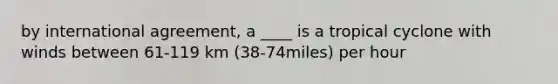 by international agreement, a ____ is a tropical cyclone with winds between 61-119 km (38-74miles) per hour