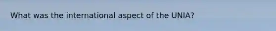 What was the international aspect of the UNIA?