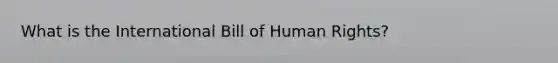 What is the International Bill of Human Rights?