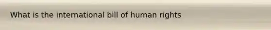 What is the international bill of human rights