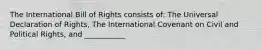 The International Bill of Rights consists of: The Universal Declaration of Rights, The International Covenant on Civil and Political Rights, and ___________