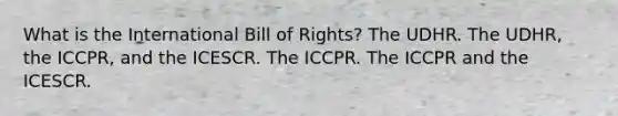 What is the International Bill of Rights? The UDHR. The UDHR, the ICCPR, and the ICESCR. The ICCPR. The ICCPR and the ICESCR.