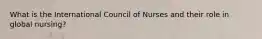 What is the International Council of Nurses and their role in global nursing?